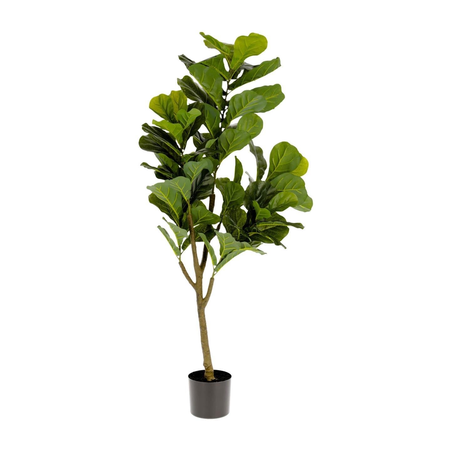 Kave Home Ficus Kunstpflanze 150 cm Grün, Schwarz- #AA5689