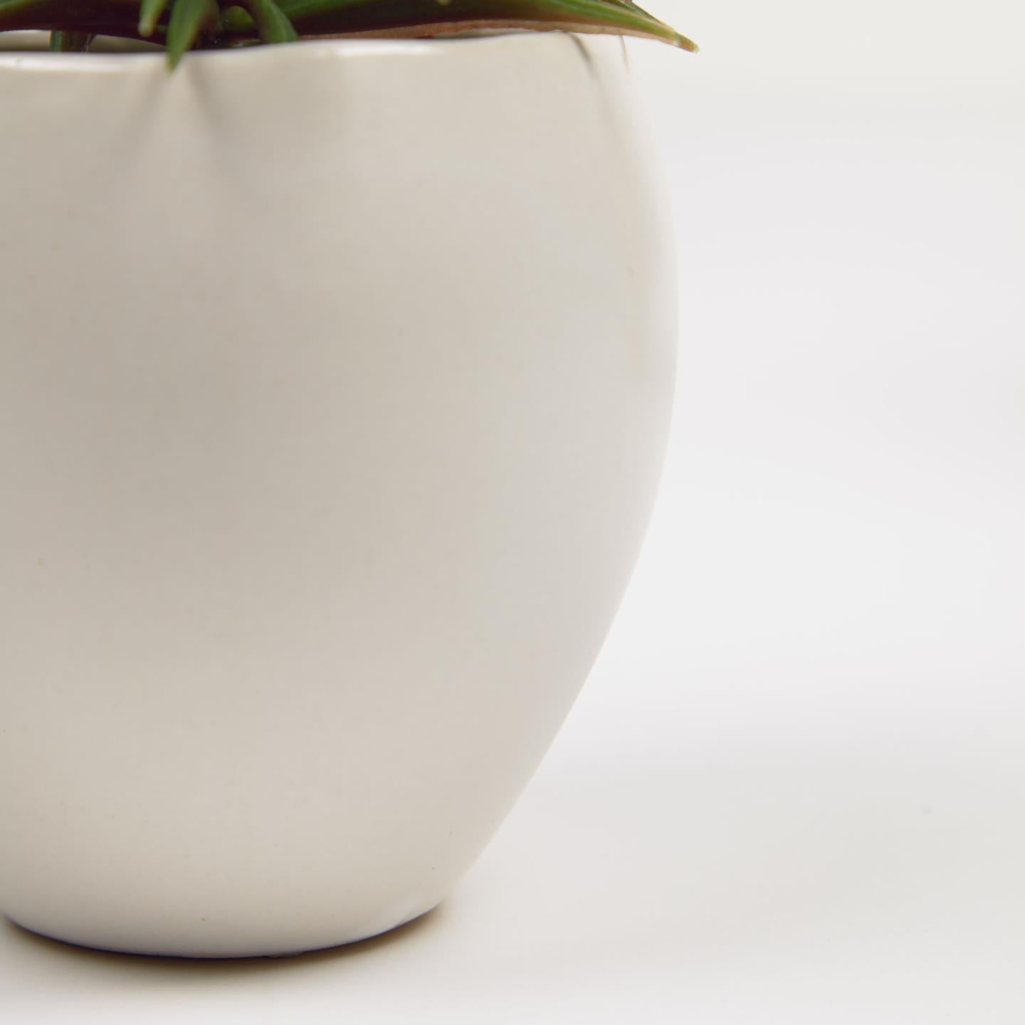 Kave Home Kunstpflanze Kiefer mit weißem Keramiktopf 16 cm Weiß- #AA6332