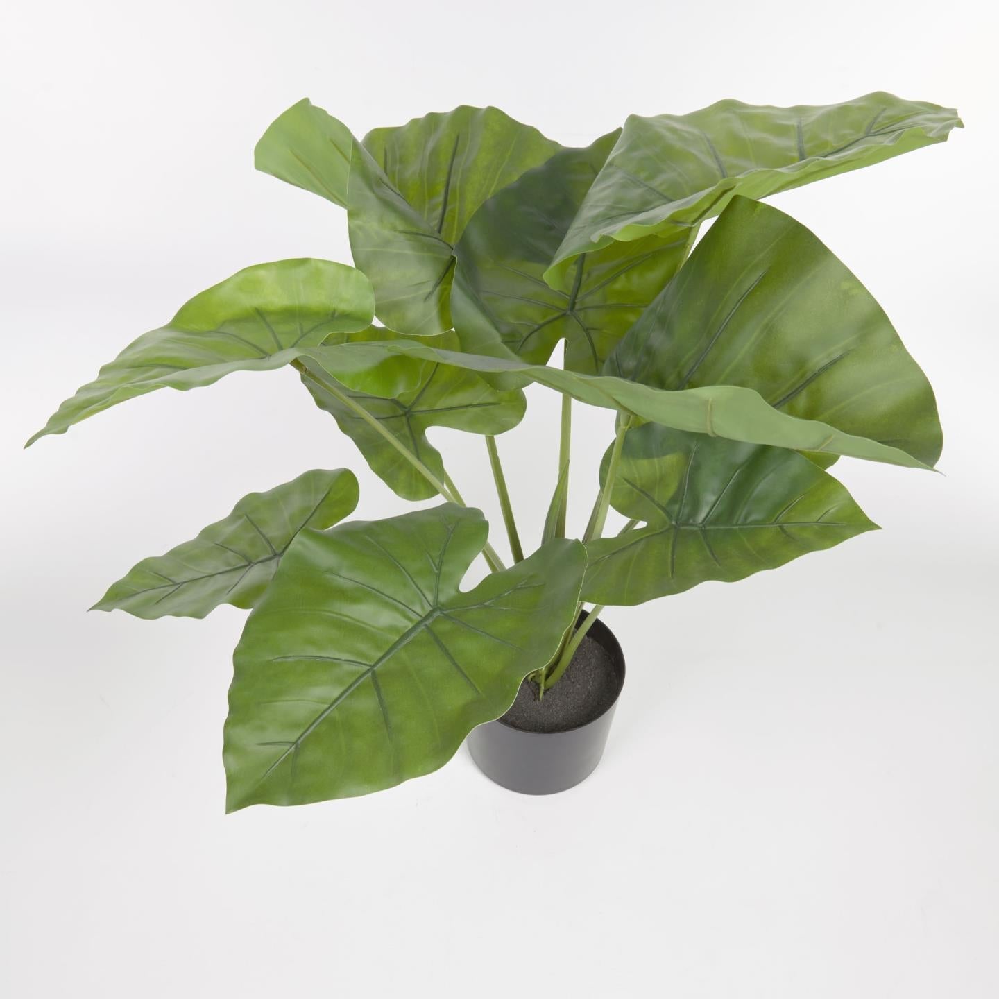 Kave Home Alocasia Odora Kunstpflanze mit Topf schwarz 57 cm Schwarz- #AA7334